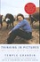Book: Thinking in Pictures Oliver W. (FWD) Sacks, Paperback