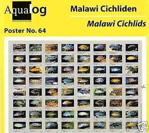 AQUALOG - Fold Poster Malawi