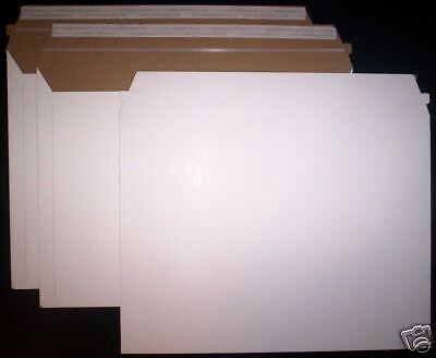 100 9.5 x 12.5 Cardboard Document Envelopes Mailers  