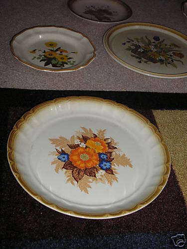 MIKASA MANOR HOUSE MEDLEY KG002 DINNER PLATE  