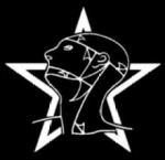 stmaxmusic