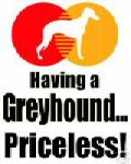 bear_the_greyhound