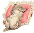 pussycatkins
