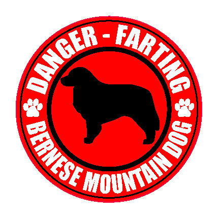 FARTING BERNESE MOUNTAIN DOG FART 5 STICKER  