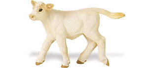 Charolais Calf ~ FARM PLAY FREE SHIP $25.+ SAFARI LTD. 095866231309 