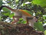 lolalola14