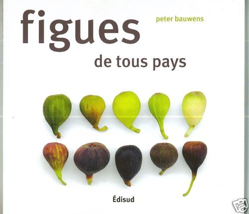FIGUES de tous pays par Peter BAUWENS + FIGUIER = ficus + Culture et