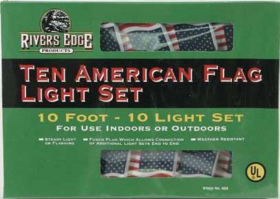 American Flag LIGHT SET, String Lights, 10 foot  